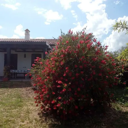 Casa Nerelie's *