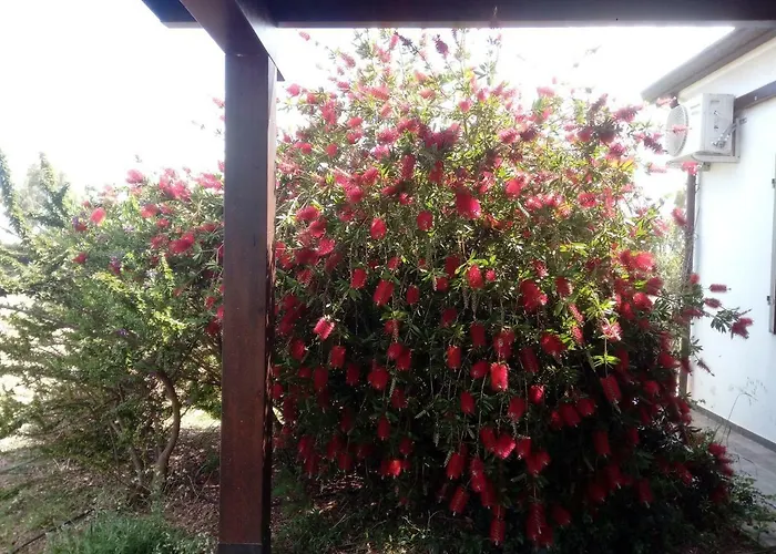 Hétvégi ház Casa Nerelie's Orosei